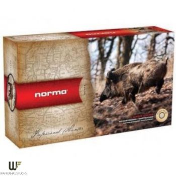Norma .30-06 Spr. Plastic Point1,7 g/180 gr
