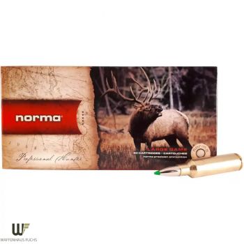 Norma .300 WSM ECOSTRIKE 9,7 g
