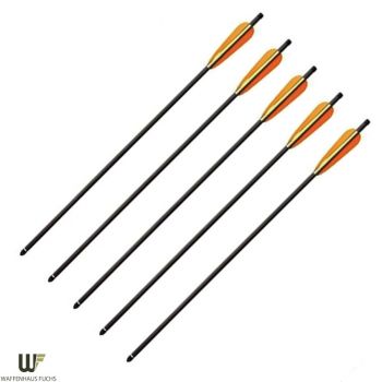 Armex Carbonpfeile 22“ 5er-Pack mit Kunststoffbefiederung