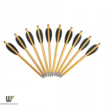 Armex Aluminium- und Kunststoffpfeile 6 1/2 ´´ im Waffenhaus Fuchs